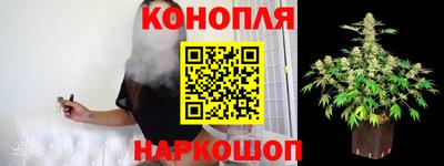 индика Аргун