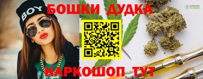 индика Аргун
