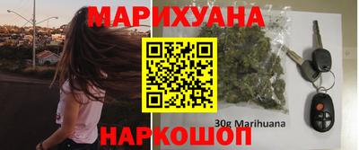 индика Аргун