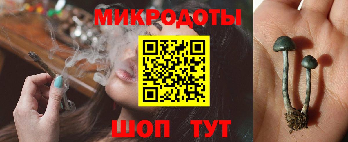 Псилоцибиновые грибы GOLDEN TEACHER  Вход с VPN  Вольск  Галлюциногенные грибы GOLDEN TEACHER 