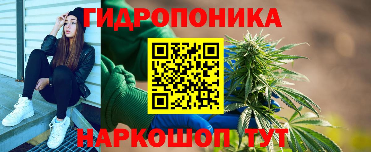 Вольск  Каннабис семена  Каннабис MAZAR  Вход с VPN  Конопля MAZAR 
